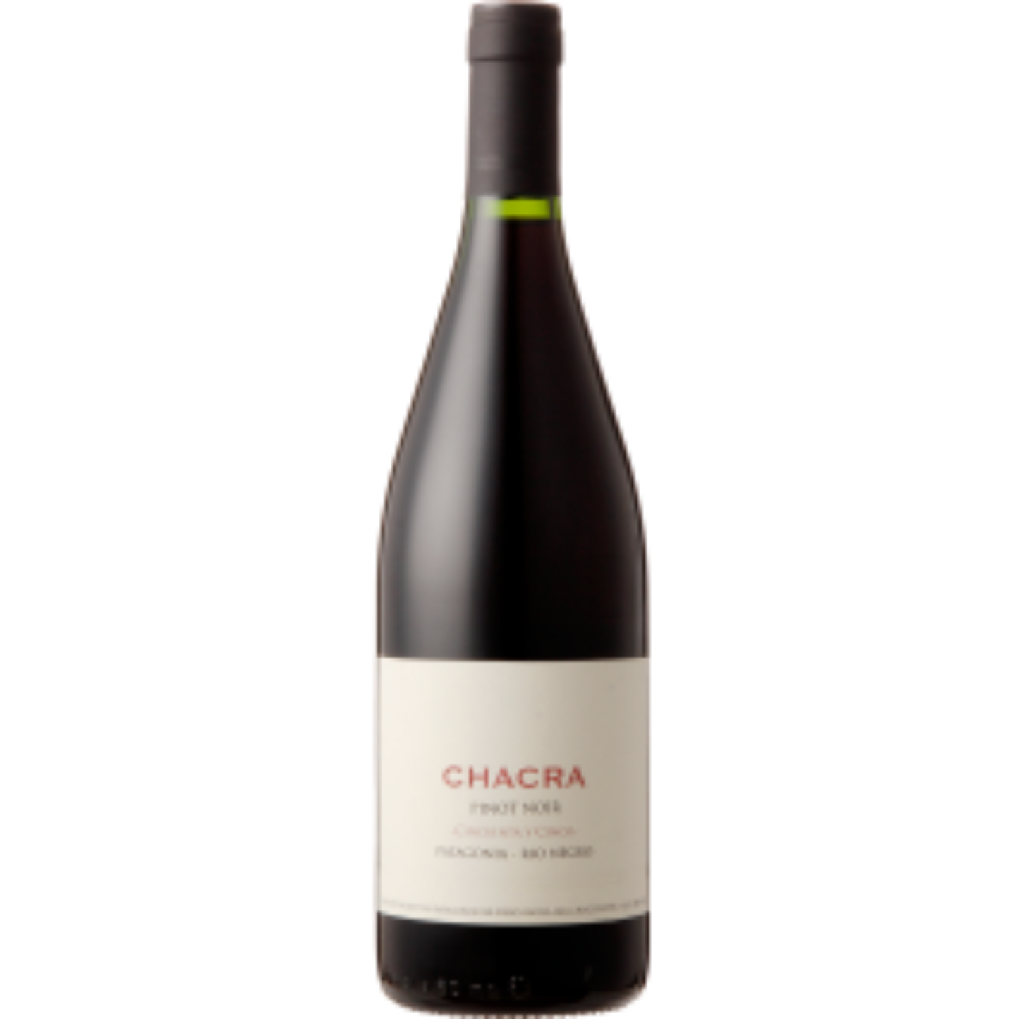 BODEGA CHACRA CINCUENTA Y CINCO 55 RIO NEGRO 2024