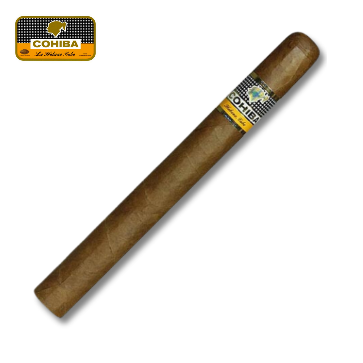 Cohiba Esplendidos CP