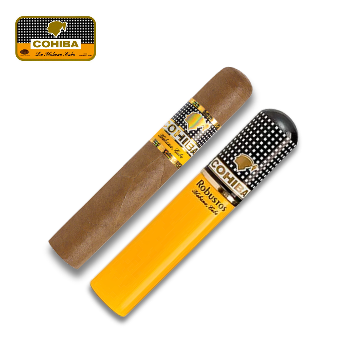 Cohiba Robustos AT / CP