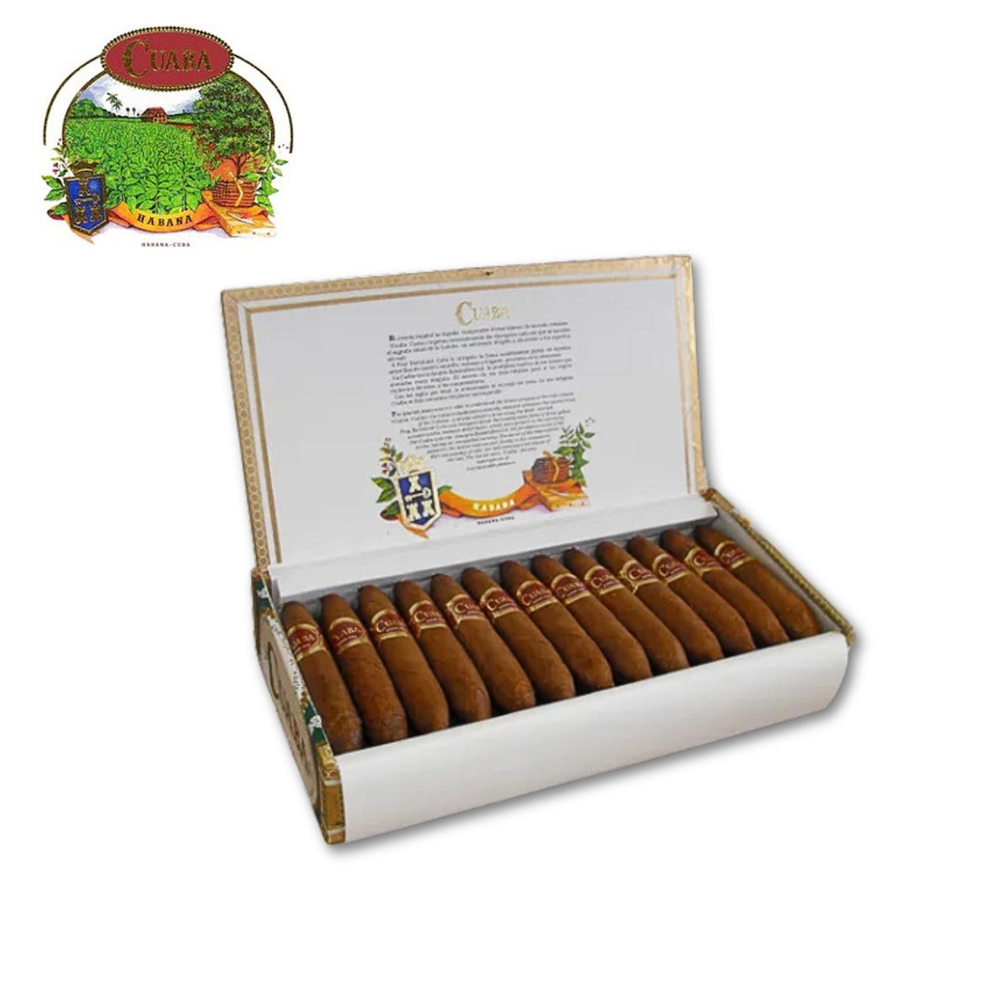 Cuaba Exclusivos