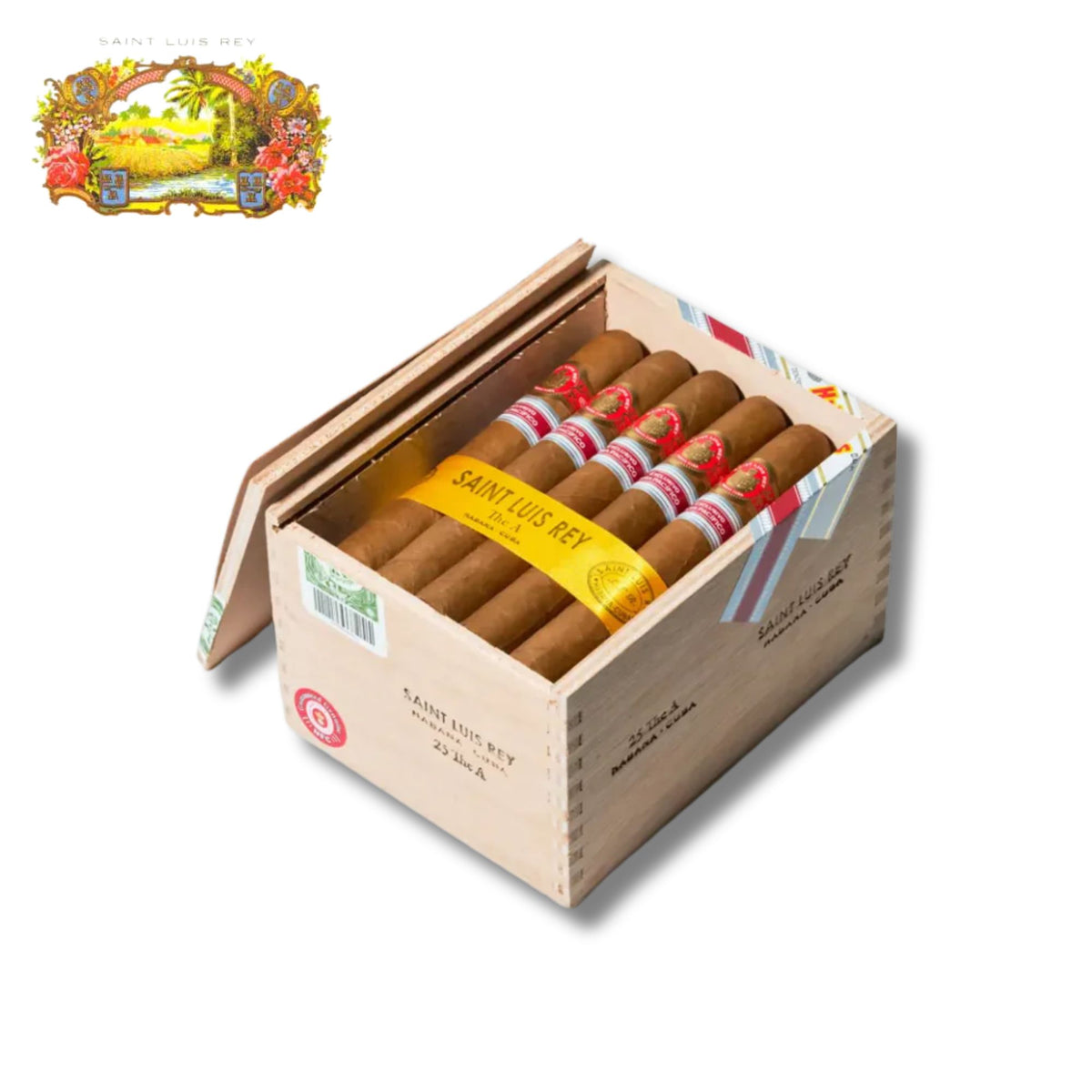 Saint Luis Rey The A 2025 Edición Regional Asia Pacifico
