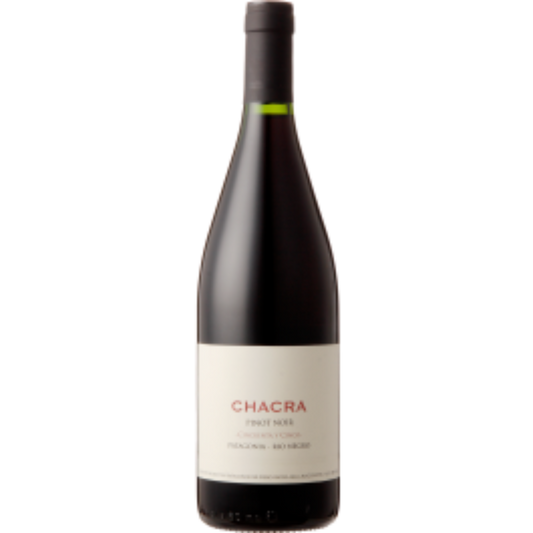 BODEGA CHACRA CINCUENTA Y CINCO 55 RIO NEGRO 2024