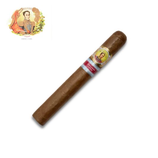 Bolivar Hamaki Edición Regional Japón