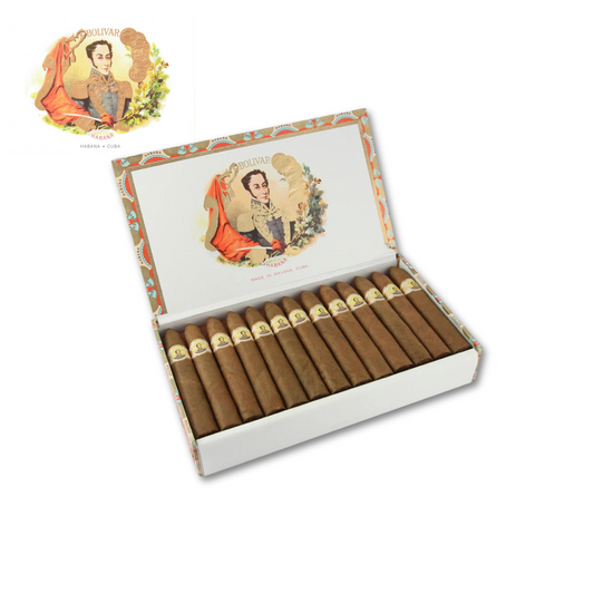 Bolivar Belicosos Finos