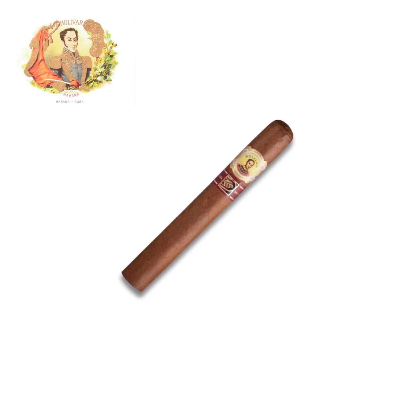 Bolivar Libertador LCDH