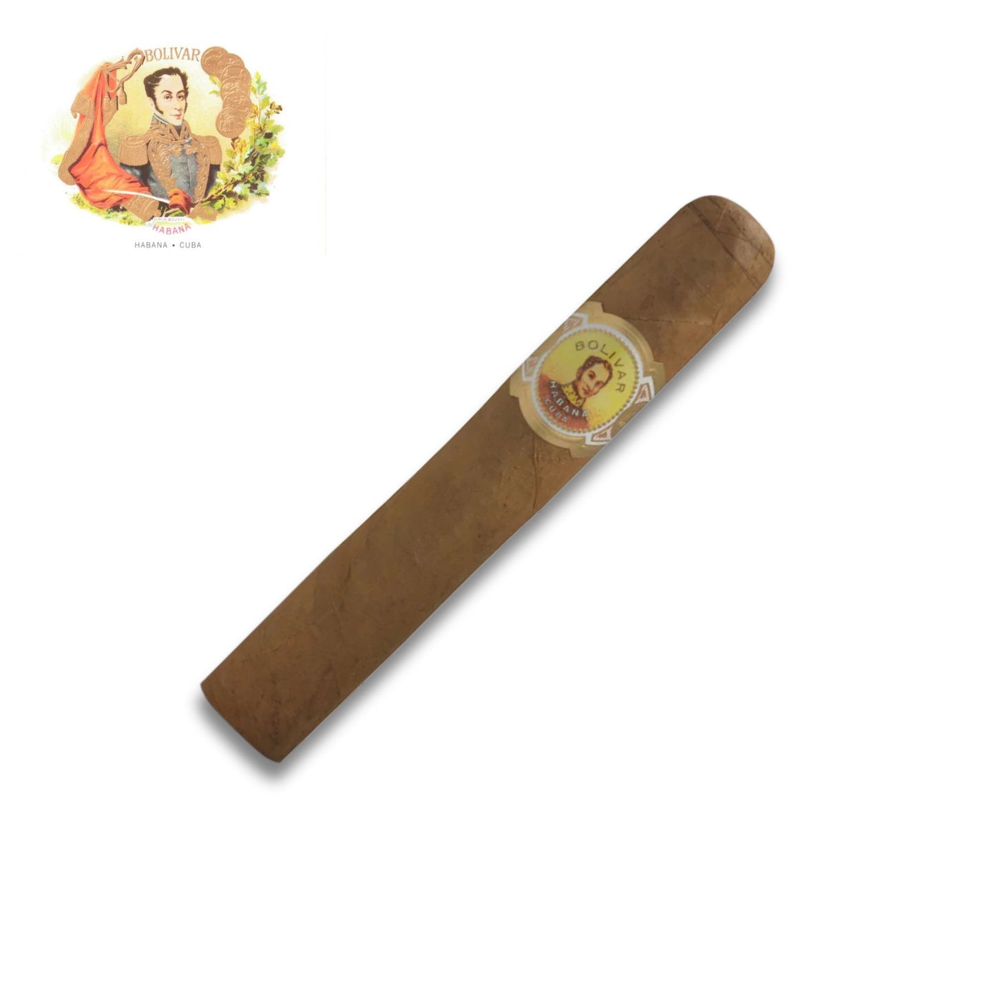 Bolivar Royal Corona