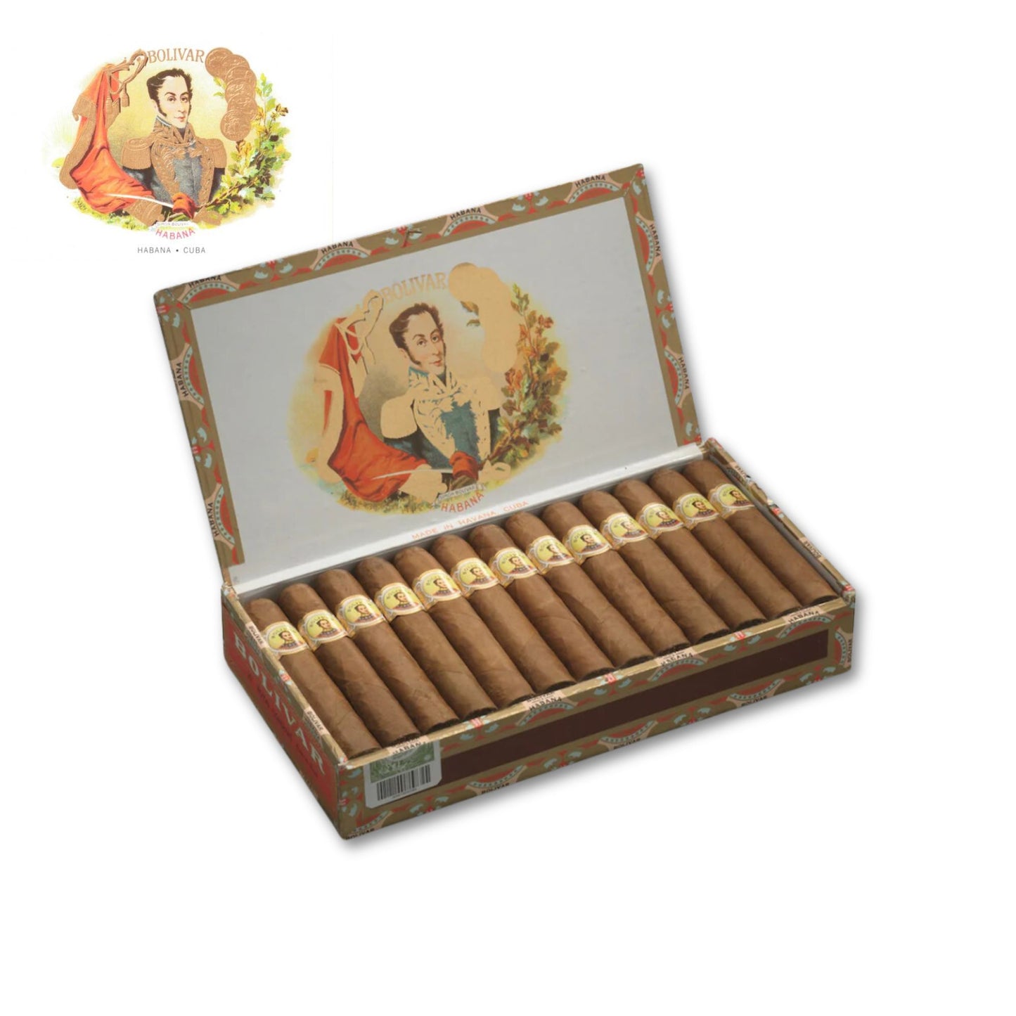 Bolivar Royal Corona