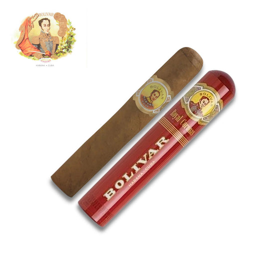Bolivar Royal Corona AT