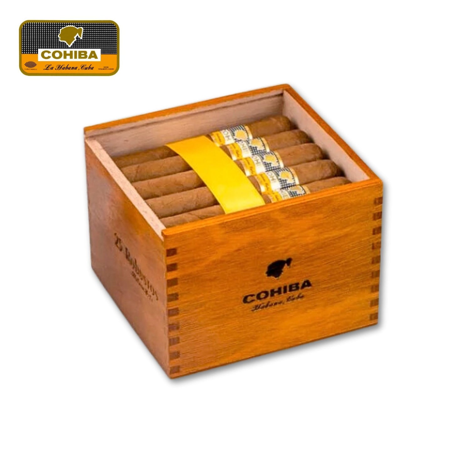 Cohiba Robustos