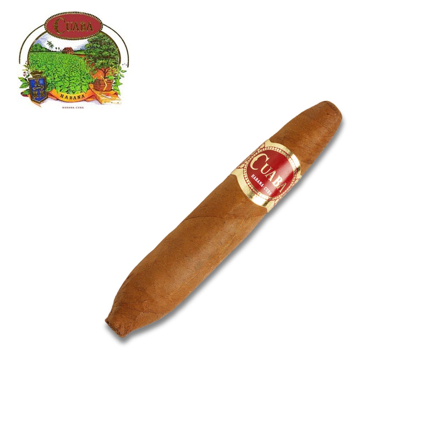Cuaba Divinos