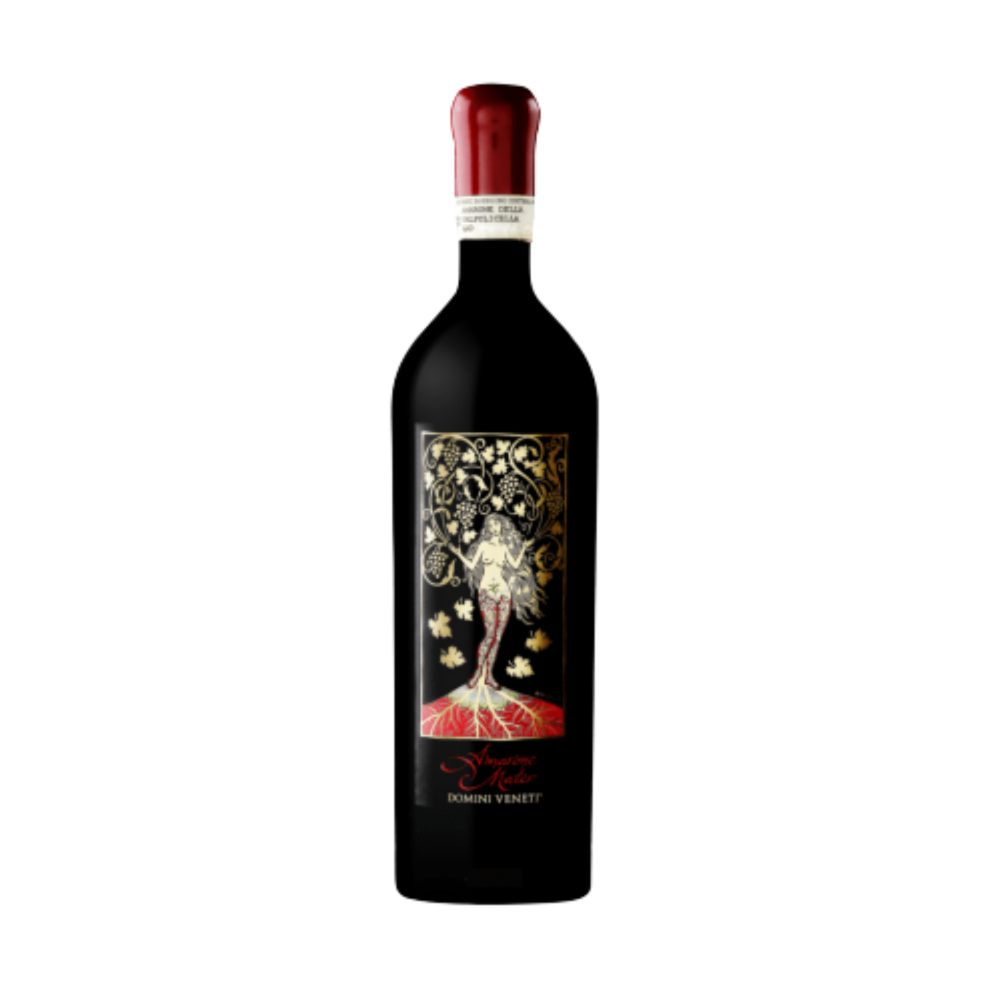 Domini Veneti Amarone Della Valpolicella DOCG Classico Riserva 'Mater' 2017
