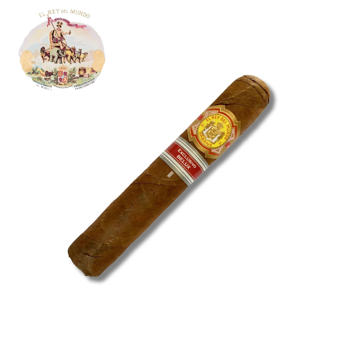 El Rey Del Mundo RE2016