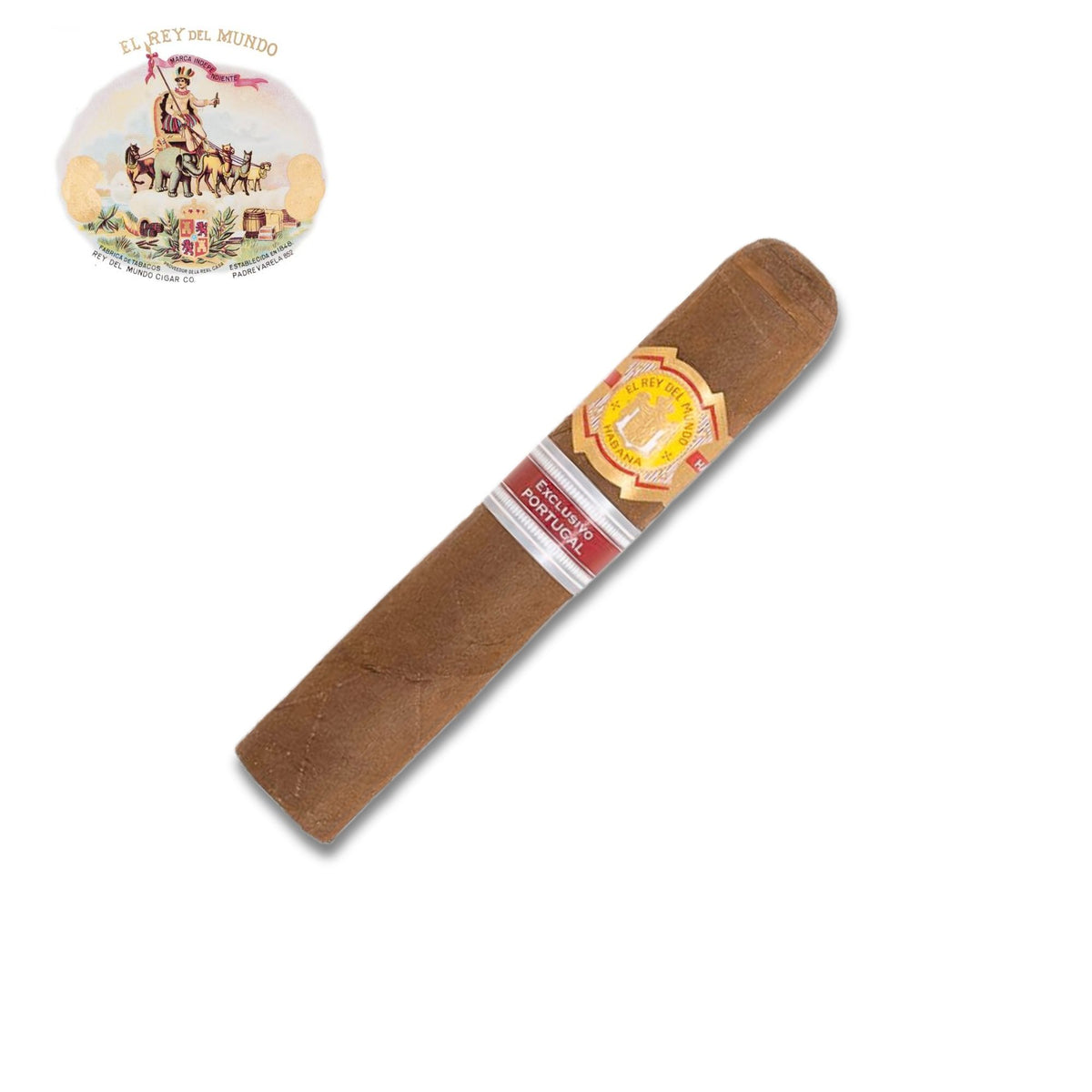 El Rey Del Mundo Templarios
