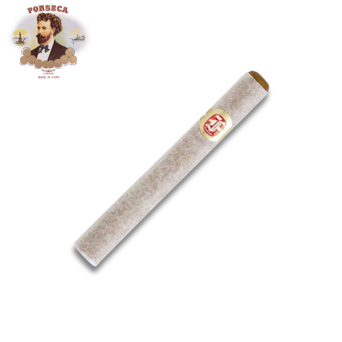 Fonseca Cosacos