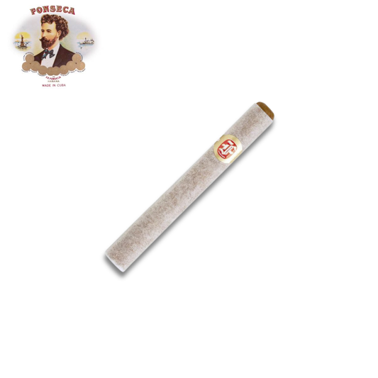 Fonseca Delicias