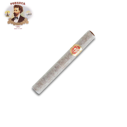 Fonseca KDT Cadetes