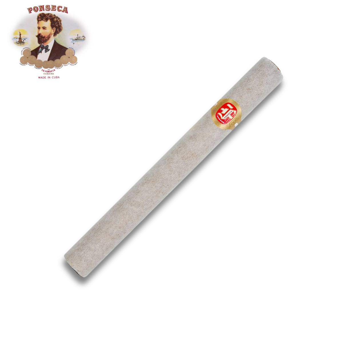 Fonseca KDT Cadetes