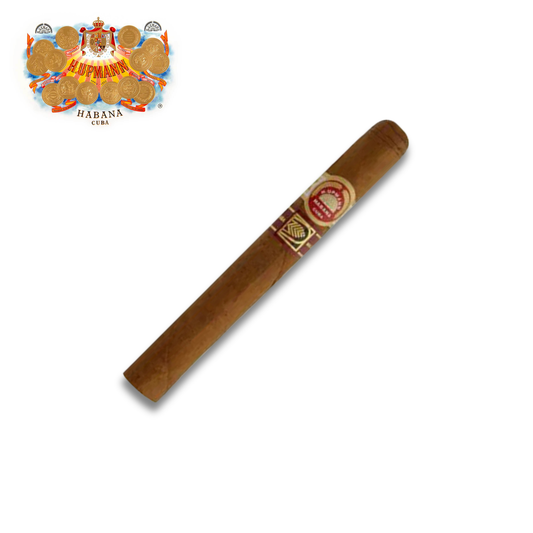 H. Upmann Noellas Jar LCDH