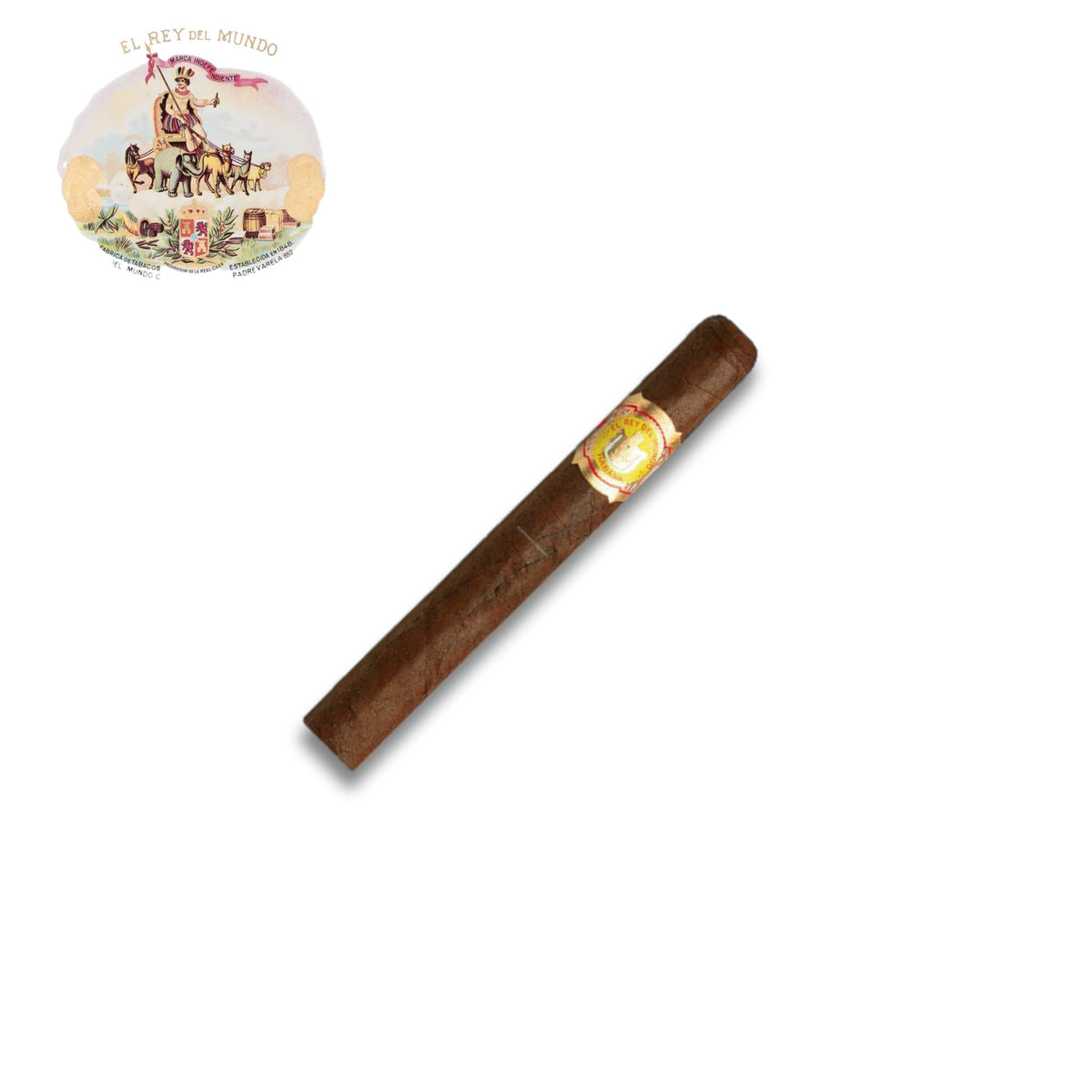 Rey Del Mundo Demi Tasse