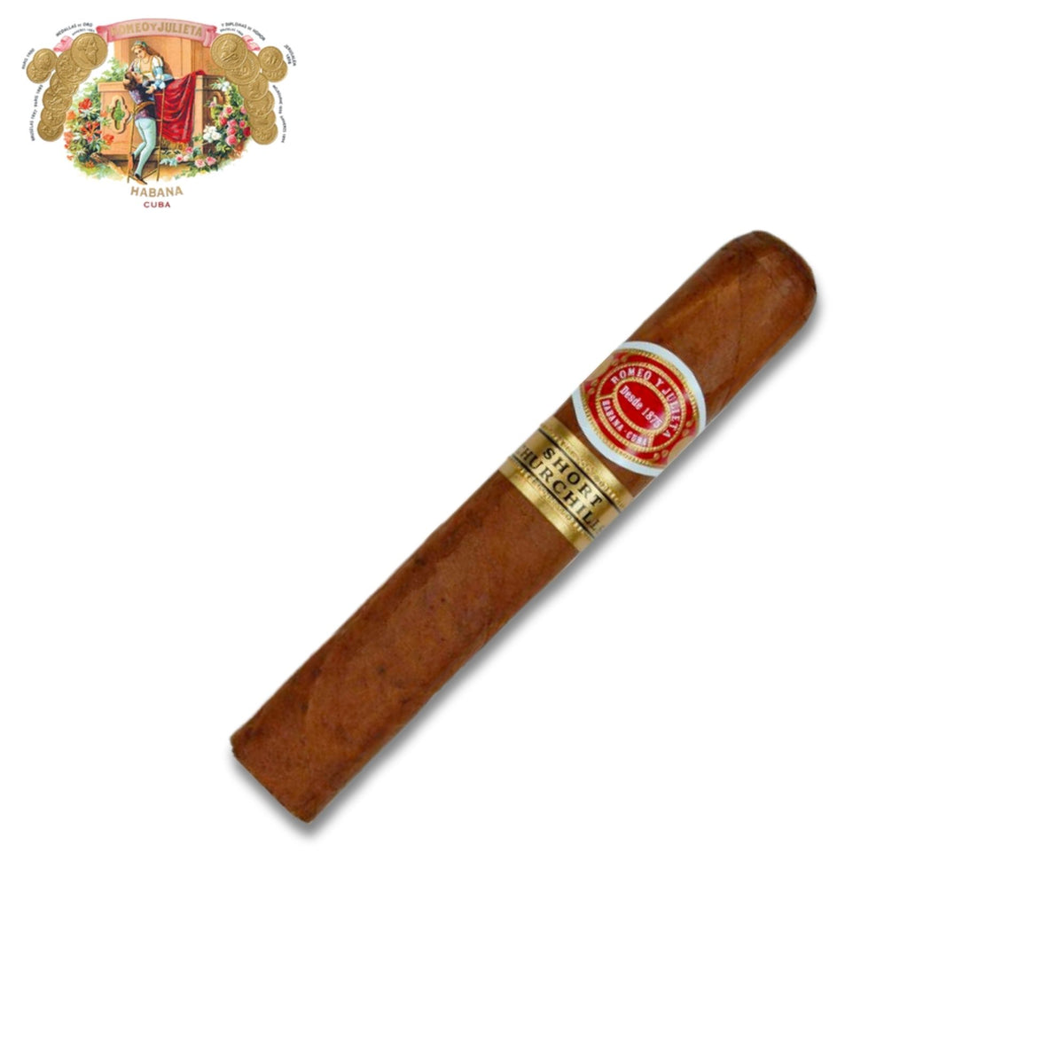 Romeo y Julieta Short Churchills